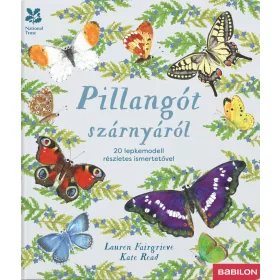   PILLANGÓT SZÁRNYÁRÓL - 20 LEPKEMODELL RÉSZLETES ISMERTETŐVEL