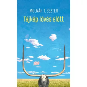 TÁJKÉP LÖVÉS ELŐTT