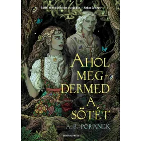 AHOL MEGDERMED A SÖTÉT