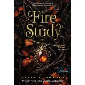 FIRE STUDY  TŰZTAN