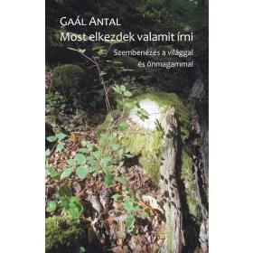   MOST ELKEZDEK VALAMIT ÍRNI - SZEMBENÉZÉS  A VILÁGGAL ÉS ÖNMAGAMMAL