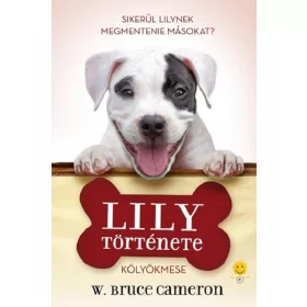 LILY TÖRTÉNETE - KÖLYÖKMESE