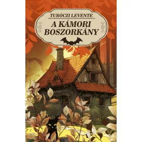 A KÁMORI BOSZORKÁNY