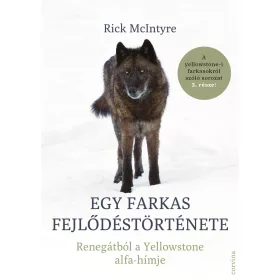   EGY FARKAS FEJLŐDÉSTÖRTÉNETE  RENEGÁTBÓL A YELLOWSTONE ALFA-HÍMJE