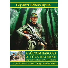   A SÓLYOM HARCOSA A TŰZVIHARBAN - NE ADD FEL SOHA TRILÓGIA 2. KÖTETE