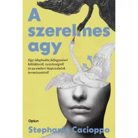   A SZERELMES AGY - EGY IDEGTUDÓS FELJEGYZÉSEI KÖTŐDÉSRŐL, VESZTESÉGRŐL...