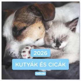 FALINAPTÁR LEMEZ NAGY 2026 KUTYÁK-CICÁK