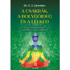   A CSAKRÁK ÉS A BOLYGÓIDEG ÉS A LELKED - A FINOMENERGIÁK ÉS AZ IDEGRENDSZER ÚTJA