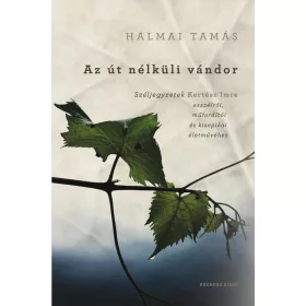 AZ ÚT NÉLKÜLI VÁNDOR