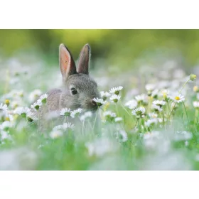 VIRÁGOS NYUSZI - KÉPESLAP