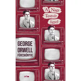 A NAGY TESTVÉR FIGYEL - GEORGE ORWELL FÜVESKÖNYVE