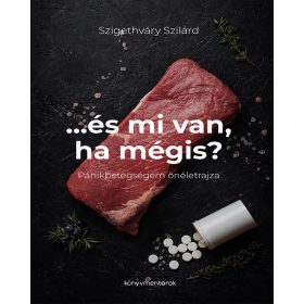 ...ÉS MI VAN HA MÉGIS? - PÁNIKBETEGSÉGEM ÖNÉLETRAJZA