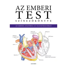   AZ EMBERI TEST SZÍNEZŐKÖNYVE - AZ EMBERI ANATÓMIA 215 ILLUSZTRÁCIÓBAN