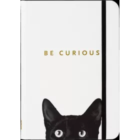 PETER PAUPER NOTESZ CURIOUS CAT VONALAS