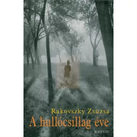 A HULLÓCSILLAG ÉVE