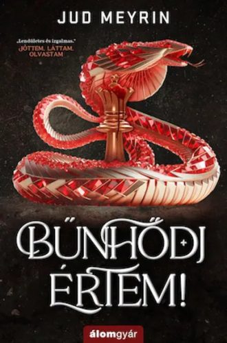 Bűnhődj értem!-/Csak előrendelhető/